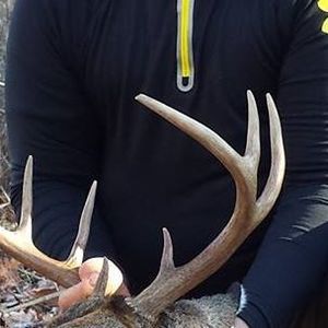 Meet your Posher, Jonas